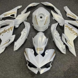 Chameleon Gold/White Fairings for Kawasaki ninja500(2024-2025)