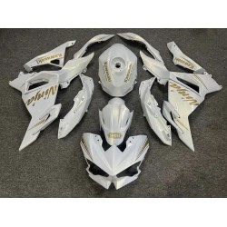 Chameleon Gold/White Fairings for Kawasaki ninja500(2024-2025)