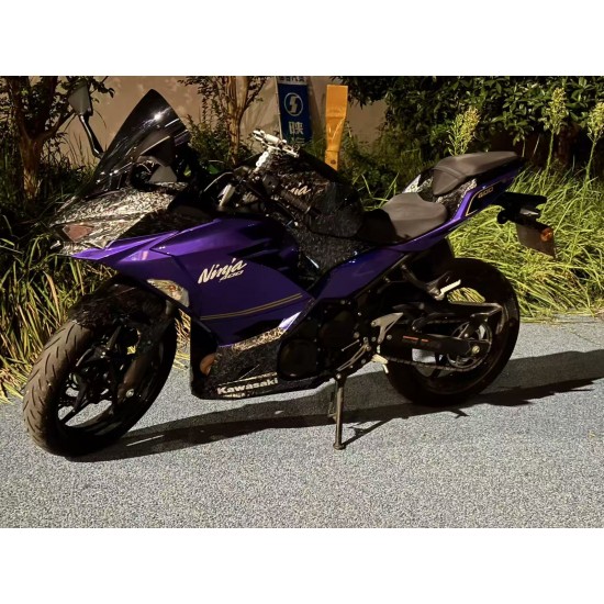 Kawasaki Forged Carbon fairings For Ninja400 (2017-2023)