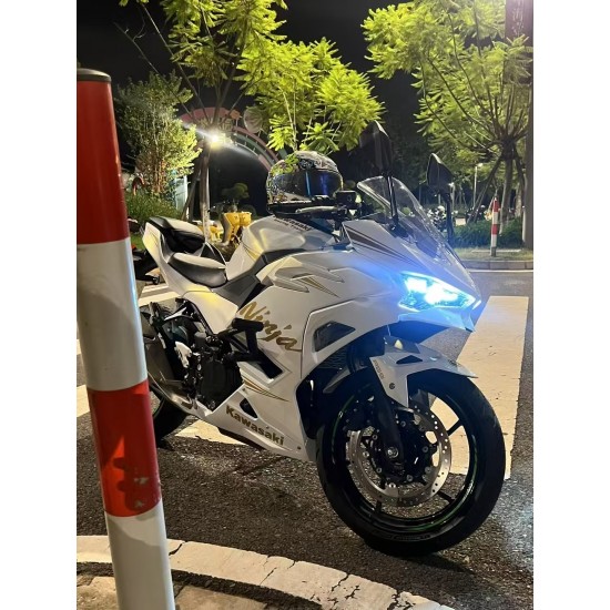 Chameleon Gold/White Fairings for Kawasaki ninja500(2024-2025)