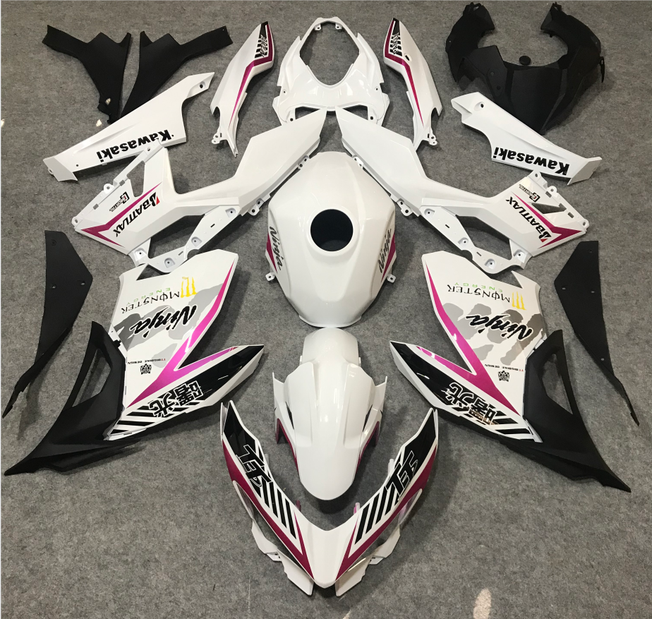 Kawasaki on sale ninja plastics