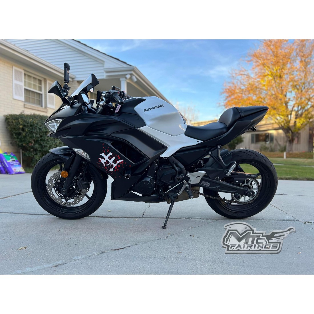 Image showcasing Kawasaki Ninja 650R Cherry Blossoms Motorcycle Fairings(2020-2024)