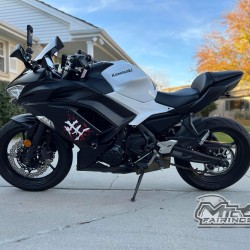 Kawasaki Ninja 650R Cherry Blossoms Motorcycle Fairings(2020-2026)