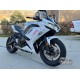 Kawasaki Ninja 650R Cherry Blossoms Motorcycle Fairings(2020-2023)