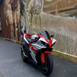 YAMAHA YZF R1 White/Red Motorcycle Fairings(2012-2014)