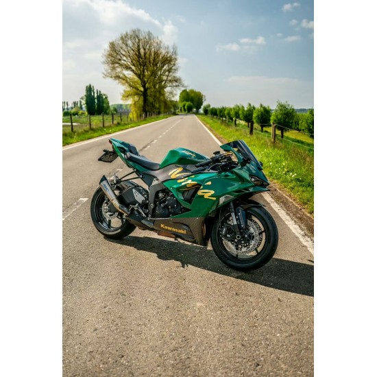 British green/ Carbon fiber Fairings for Kawasaki Ninja ZX6R(full tank cover)(2024-2025)