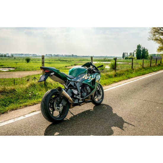 British green/ Carbon fiber Fairings for Kawasaki Ninja ZX6R(full tank cover)(2024-2025)