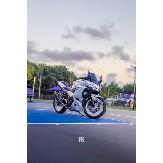 Kawasaki Customized Ninja400 chameleon Half purple/white Motorcycle fairings (2017-2023)