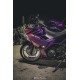 Kawasaki Customized Ninja400 chameleon Half purple/white Motorcycle fairings (2017-2023)