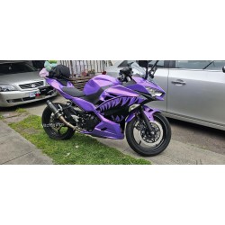 Chameleon Purple/Pink Shark Mouth Fairings for Kawasaki Ninja400(2017-2023)