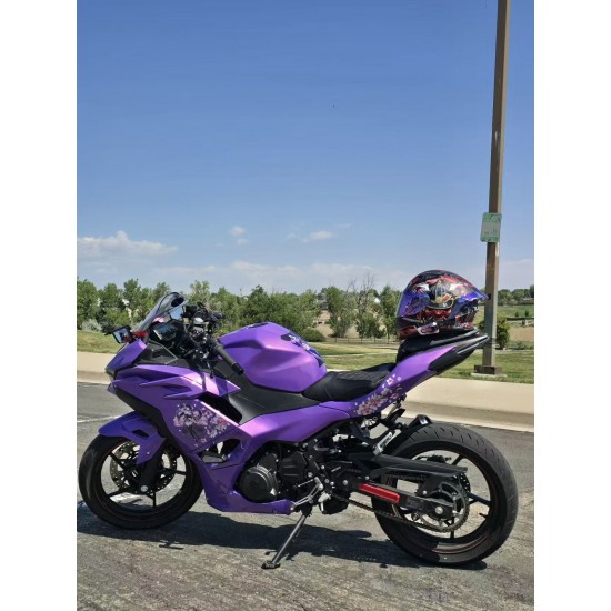 Chameleon Purple/Pink Fairings for Kawasaki ninja500(2024-2025)
