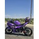 Chameleon Purple/Pink Fairings for Kawasaki ninja500(2024-2025)