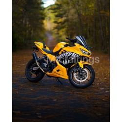 Kawasaki Ninja 400 Venom Motorcycle fairings (2017-2023)