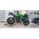 Kawasaki Ninja ZX6R Customized Motorcycle Fairings (full tank cover)(2013-2018)
