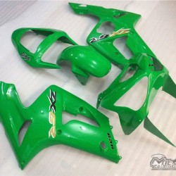 Green Kawasaki Ninja ZX-6R Fairings (2003-2004)