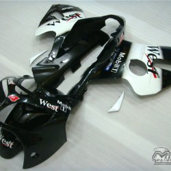 Kawasaki Ninja ZX12R Black & White Motorcycle fairings(2002-2004)