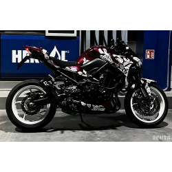 2019 z900 fairings 
