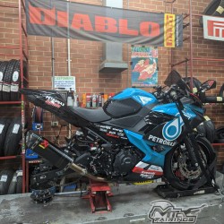 Kawasaki Ninja 400 Petronas Motorcycle fairings (2017-2023)