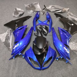 Kawasaki Ninja ZX-6R customized Motorcycle Fairings with full tank cover (2009-2012)