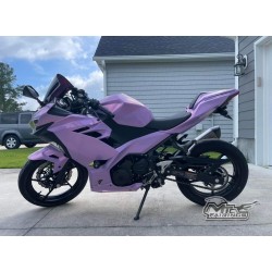 Kawasaki Chameleon Purple/Pink Ninja 400 Motorcycle fairings(2017-2023)