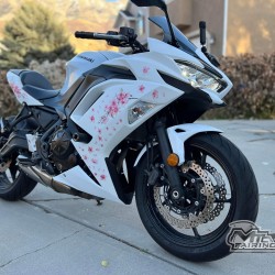 Kawasaki Ninja 650R Cherry Blossoms Motorcycle Fairings(2020-2023)