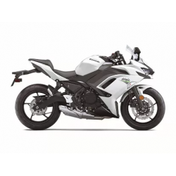 Customized Kawasaki Ninja 650R Motorcycle Fairings(2020-2023)