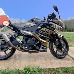 Kawasaki Ninja 400 Gold Motorcycle fairings (2017-2023)