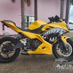 Kawasaki Ninja 400 Pearl Yellow Motorcycle fairings(2017-2023)