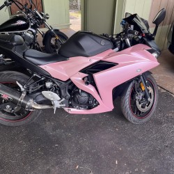 Pink Yamaha R3 Motorcycle Fairings(2015-2018)