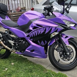 Chameleon Purple/Pink Shark Mouth Fairings for Kawasaki Ninja400(2017-2023)