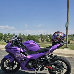 Chameleon Purple/Pink Fairings for Kawasaki ninja500(2024-2026)
